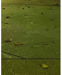 CASIO | アナログ腕時計