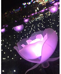 イルミネーション | その他