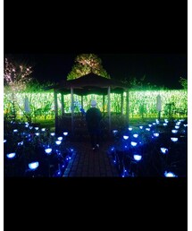 バックショット | その他