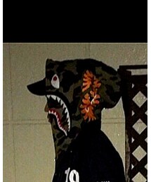 A BATHING APE | パーカー