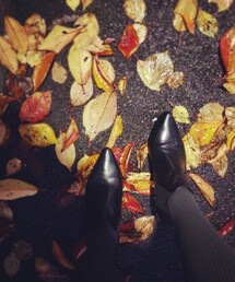 靴下屋 | グレーのリブタイツ♡(タイツ/ストッキング)