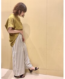 横🐰 | その他
