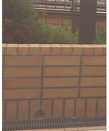 Daniel Wellington | アナログ腕時計