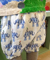 プチルカ
ぞうさんブルマ(その他パンツ)