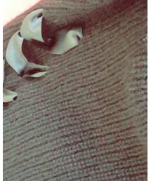 onespo | ワンピース