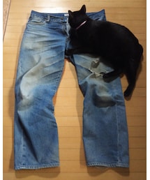 HANES | デニムパンツ