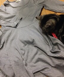 Cheek | Cheekの千鳥柄ワンピース
グレー＆ホワイトがかわいい(^o^)♡

飼っているネコも映ってしまった（笑）(ワンピース)