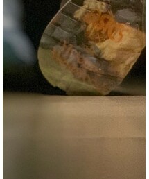 Vivienne Westwood | スニーカー