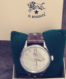 IL BISONTE | イルビゾンテ時計(アナログ腕時計)