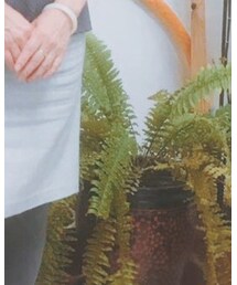 lady Y | スカート