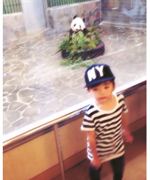 パンダと♡ | その他