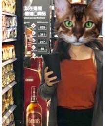 Starbucks | 食器/キッチン