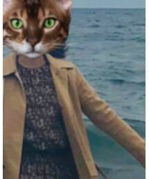 RALPH LAUREN | ジャケット/アウター