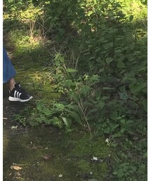 adidas | その他シューズ