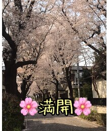 これより綺麗な女性をたくさん知ってるけどね🤣 | その他