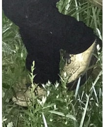 GEORGE COX | ブーツ