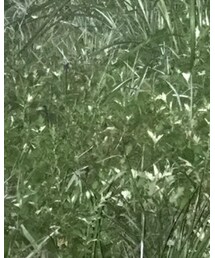 martinerose | トップス