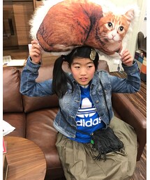 リアル猫ちゃん | その他