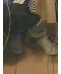 used | デニムパンツ