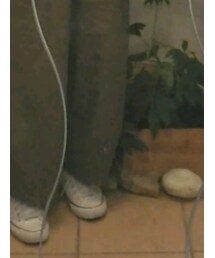 FELISSIMO | パンツ