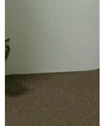 no brand | スニーカー