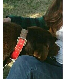 H&M | Tシャツ/カットソー