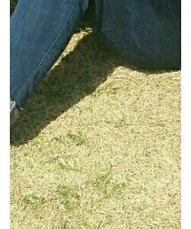 韓国で購入 | デニムパンツ