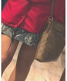 Bershka | スカート