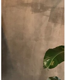 NANO universe | Tシャツ/カットソー