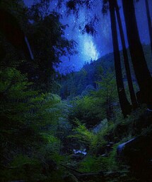 Instagram no.88 | 音楽/本・雑誌