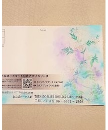 TORNADO MART | 暑中見舞(その他)