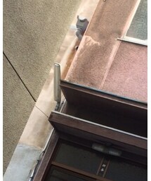 ZARA | テーラードジャケット