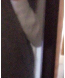 UNIQLO | シャツ/ブラウス