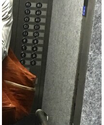 ZARA | Tシャツ/カットソー