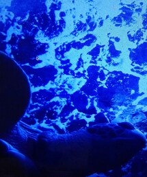 ウミガメちゃん(その他)