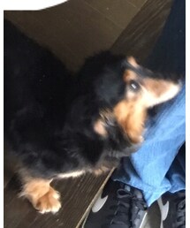 ひなちゃん | その他