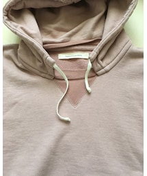 Inpaichthys kerri | パーカー