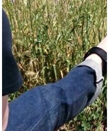 Levi's | その他パンツ