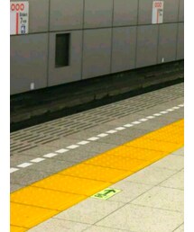 Dulcamara | トートバッグ