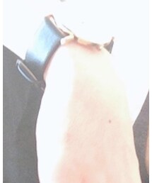 ZOZO | アナログ腕時計