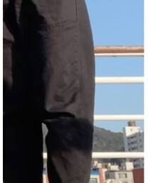 TIGRE BROCANTE | チノパンツ