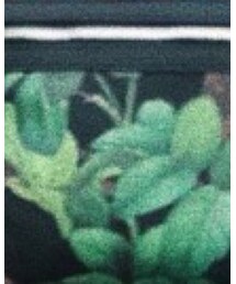 ZARA | バックパック/リュック