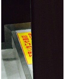 American Apparel | ソックス/靴下