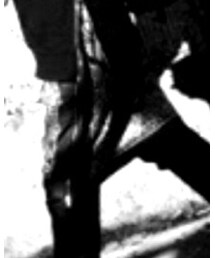 LEGENDA | スカート