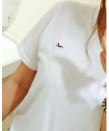 Hollister | Tシャツ/カットソー