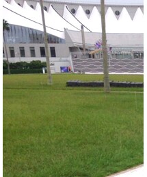 XLARGE | シャツ/ブラウス