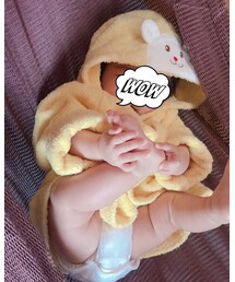 ʕ•͡•ʔ | その他