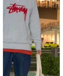 STUSSY | パーカー