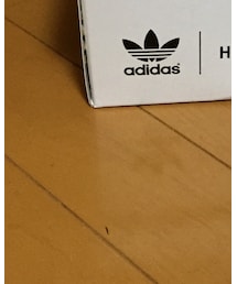 adidas | スニーカー