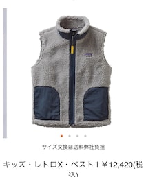patagonia | ダウンベスト